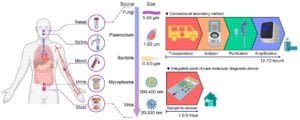molecular diagnosis of disease